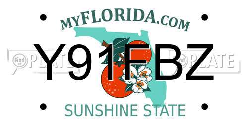 Y91FBZ Florida License Plate