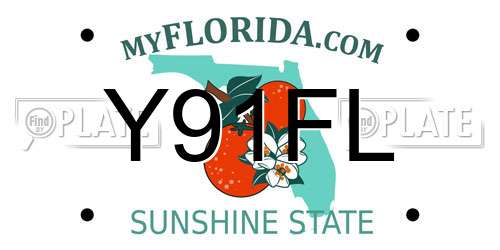 Y91FL Florida License Plate