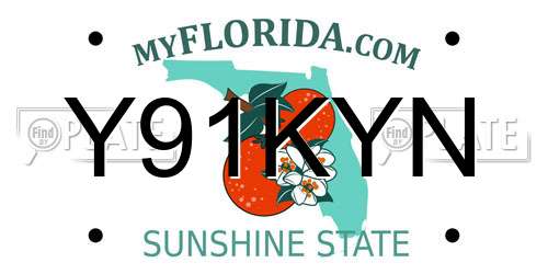 Y91KYN Florida License Plate