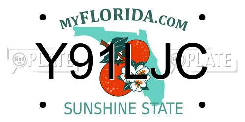 Y91LJC Florida License Plate
