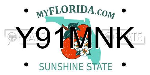 Y91MNK Florida License Plate