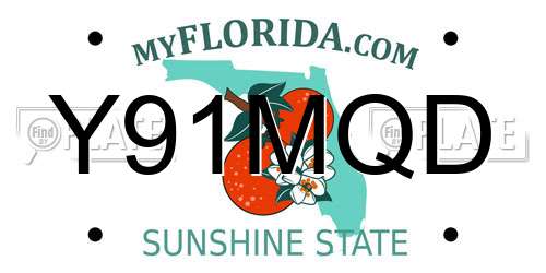 Y91MQD Florida License Plate