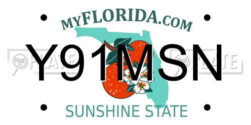 Y91MSN Florida License Plate