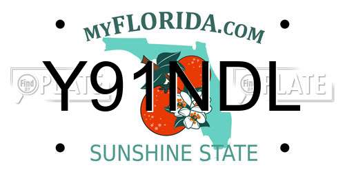 Y91NDL Florida License Plate