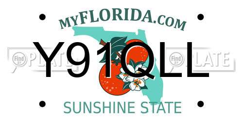 Y91QLL Florida License Plate