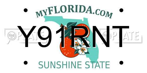 Y91RNT Florida License Plate