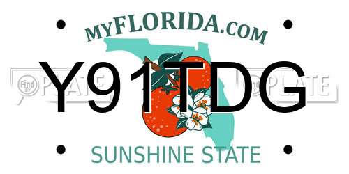Y91TDG Florida License Plate