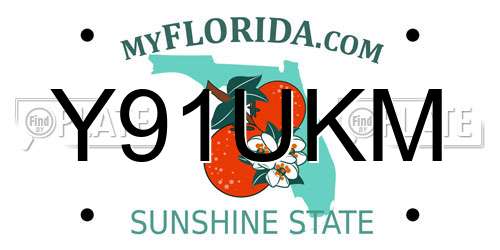 Y91UKM Florida License Plate
