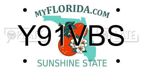 Y91VBS Florida License Plate