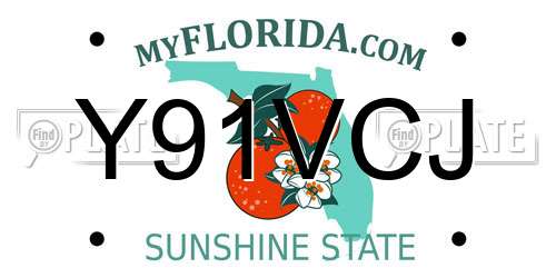 Y91VCJ Florida License Plate