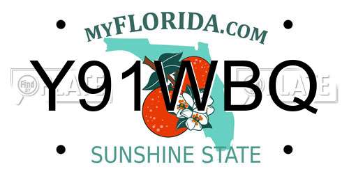 Y91WBQ Florida License Plate