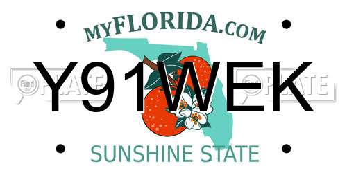 Y91WEK Florida License Plate