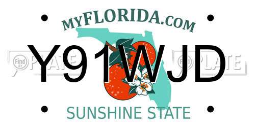 Y91WJD Florida License Plate