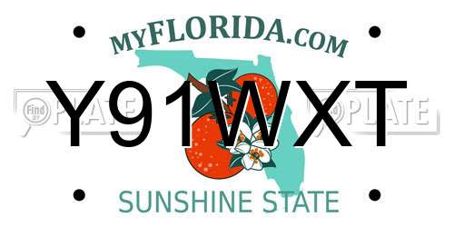 Y91WXT Florida License Plate