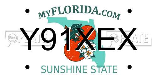 Y91XEX Florida License Plate