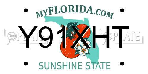 Y91XHT Florida License Plate