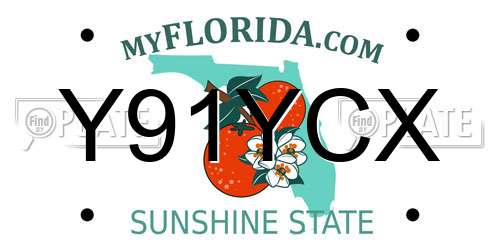 Y91YCX Florida License Plate