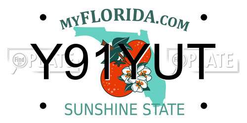 Y91YUT Florida License Plate
