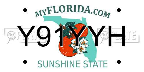 Y91YYH Florida License Plate