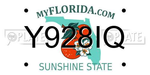 Y928IQ Florida License Plate