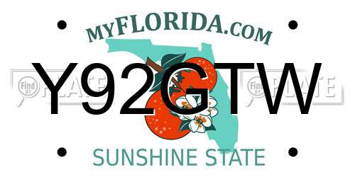 Y92GTW Florida License Plate
