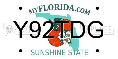 Y92TDG Florida License Plate