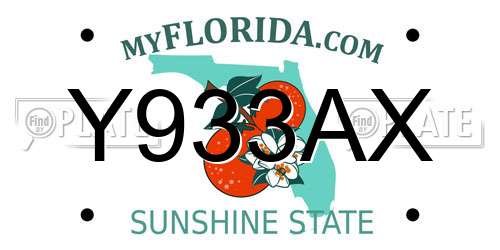 Y933AX Florida License Plate