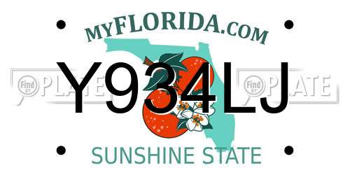 Y934LJ Florida License Plate
