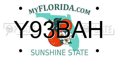 Y93BAH Florida License Plate