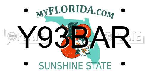 Y93BAR Florida License Plate