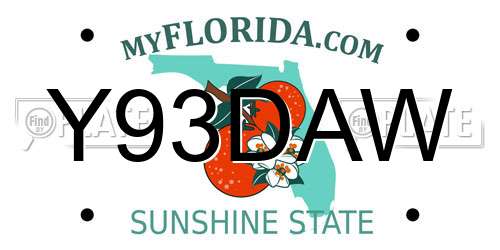 Y93DAW Florida License Plate