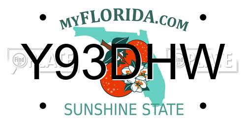 Y93DHW Florida License Plate