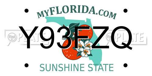 Y93FZQ Florida License Plate