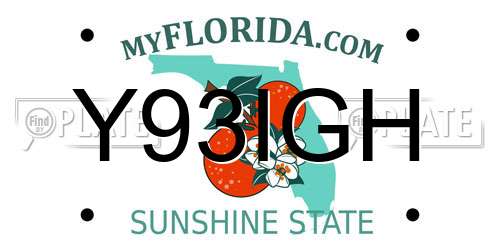 Y93IGH Florida License Plate