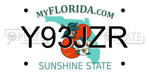 Y93JZR Florida License Plate