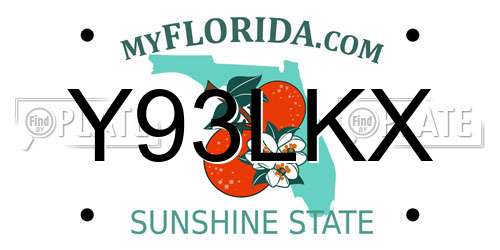 Y93LKX Florida License Plate