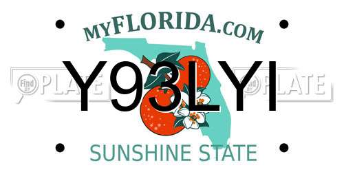Y93LYI Florida License Plate