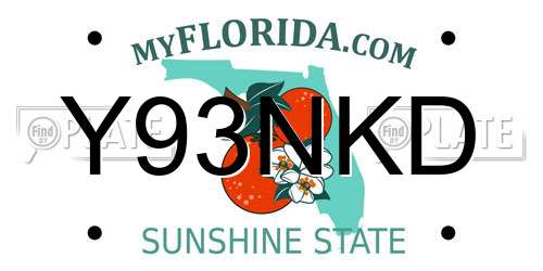 Y93NKD Florida License Plate
