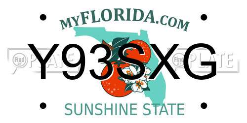 Y93SXG Florida License Plate