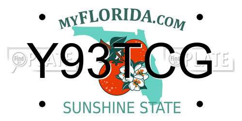 Y93TCG Florida License Plate