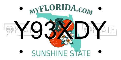 Y93XDY Florida License Plate