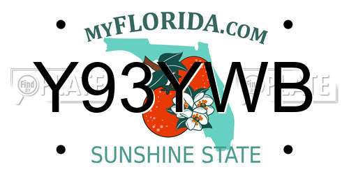 Y93YWB Florida License Plate