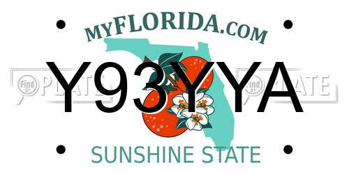 Y93YYA Florida License Plate