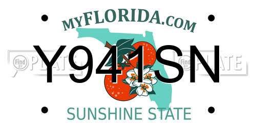 Y941SN Florida License Plate