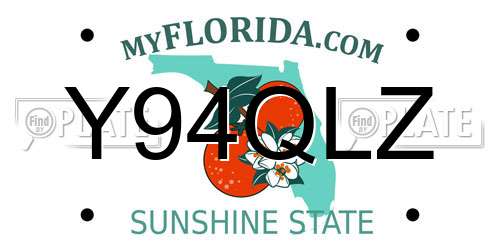 Y94QLZ Florida License Plate
