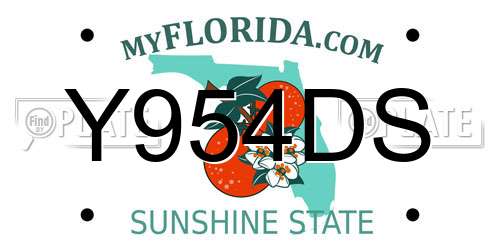 Y954DS Florida License Plate