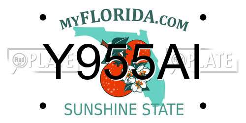 Y955AI Florida License Plate