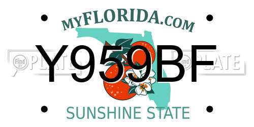 Y959BF Florida License Plate