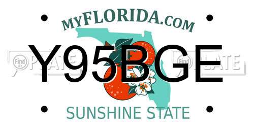 Y95BGE Florida License Plate