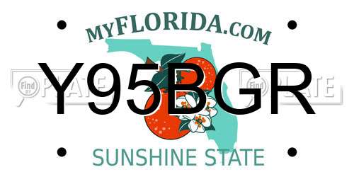 Y95BGR Florida License Plate